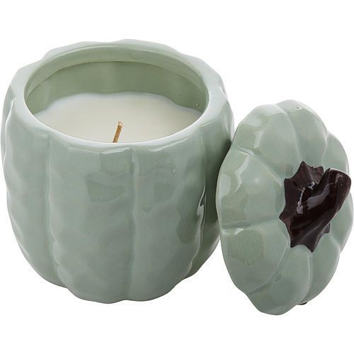 HARVEST SPICE by Northern Lights CERAMIC PUMPKIN CANDLE 11 OZ EasyOptionXY LLC