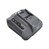 FLEX FX0411-Z 160W Fast Charger