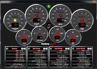 Dominator EFI ECU