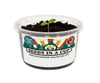 Cauliflower Grow Kit | Grow Cauliflower from Seed | Seeds In A Cup®