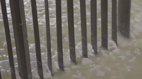 Fresh Grated Genuine Fulvi® Pecorino Romano DOP