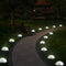 White Light