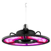 Grow Light LED with Red and Blue Spectrum for Plants