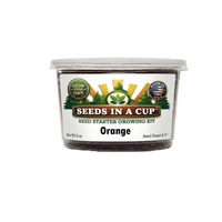 Tree & Vine Seed Growing Kit – Multiple Tree Varieties