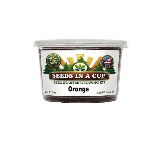 Tree & Vine Seed Growing Kit – Multiple Tree Varieties