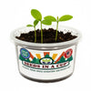 American Ash Tree Grow Kit | Grow from Seed | Seeds In A Cup®