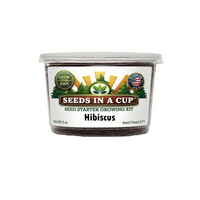 Tree & Vine Seed Growing Kit – Multiple Tree Varieties