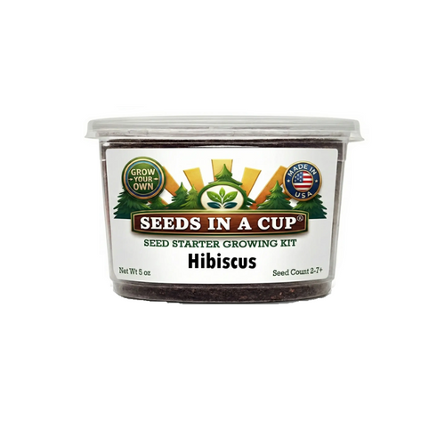 Tree & Vine Seed Growing Kit – Multiple Tree Varieties