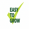 Green Beans Grow Kit | Grow Green Beans from Seed | Seeds In A Cup®