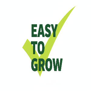 Green Beans Grow Kit | Grow Green Beans from Seed | Seeds In A Cup®