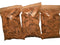 Red Alder