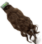6 - Chestnut Brown