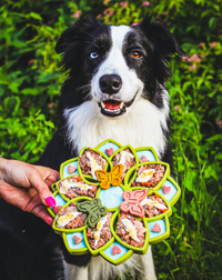 Mandala eTray Shallow Slow Feeder Dog Bowl for Enrichment | USA Made