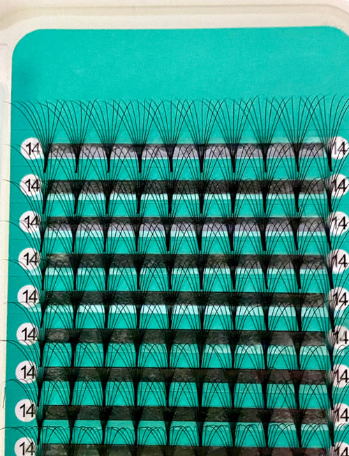 8D - 0.07mm Slim/Pointy Root Medium Stem Premade Fans 16 lines 160 fans NO-Logo【Sale】
