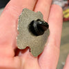 DOGTOWN/Suicidal Pin