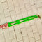 Green - Lightening Bolt / Regular