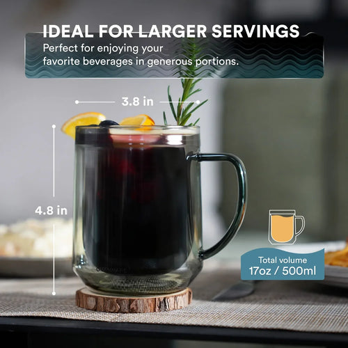 Double Wall Mug - 500ml/17oz (Set of 2)