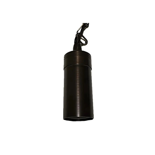 Oil-Rubbed Bronze Outdoor Hanging Light Fixture - LED and Halogen Compatible