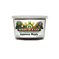 Japanese Maple Grow Kit | Grow Japanese Maple from Seed | Seeds In A Cup®
