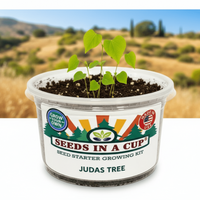 Tree & Vine Seed Growing Kit – Multiple Tree Varieties
