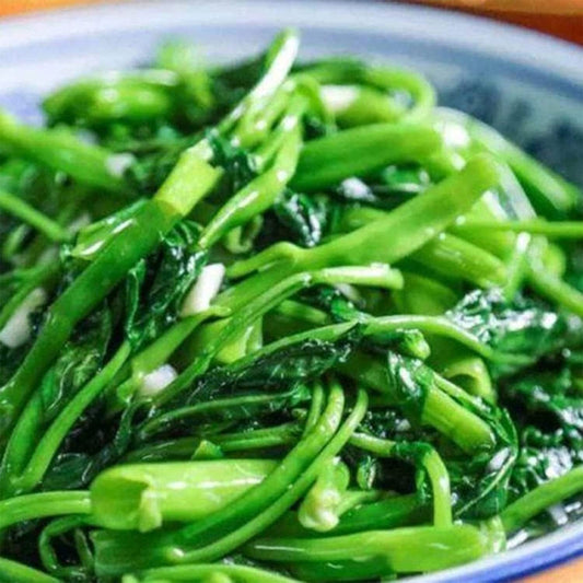 South Mountain Nursery Kong Xin CAI Seeds for Yard & Garden - Non-Gmo Rau Muong Green Leaf
