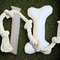 Large Dogs - Bone (11.5