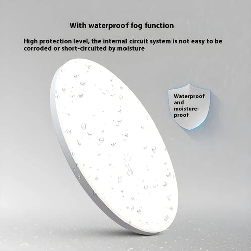LED Ceiling Light 220V Waterproof & Dustproof