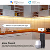 LED Flexible Neon Light Strip with Smart Control