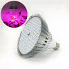 LED Full Spectrum Light for Herb Plants USB Powered