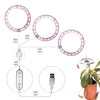 LED Grow Light Full Spectrum Angel Ring USB Lamp for Indoor Plants