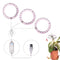 Three Pink & White Light