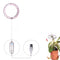 Single Head Pink & White Light