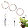 LED Grow Light Full Spectrum Angel Ring USB Lamp for Indoor Plants