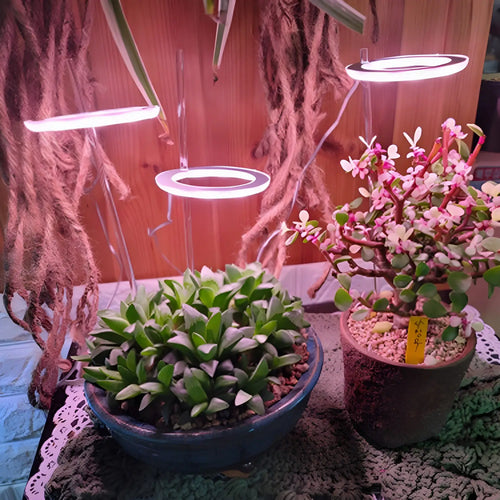 LED Grow Light Full Spectrum Angel Ring USB Lamp for Indoor Plants