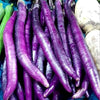 South Mountain Nursery Long Purple Eggplant Seeds - Solanum Melongena - Non-Gmo Aubergine