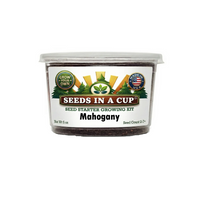 Tree & Vine Seed Growing Kit – Multiple Tree Varieties