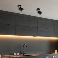 Modern Ceiling Spot Light with Aluminum Body for Stylish Interiors