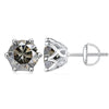 Moissanite Stud Earrings 0.5-2CT S925 Sterling Silver 18K 6-Prong Screw Backs