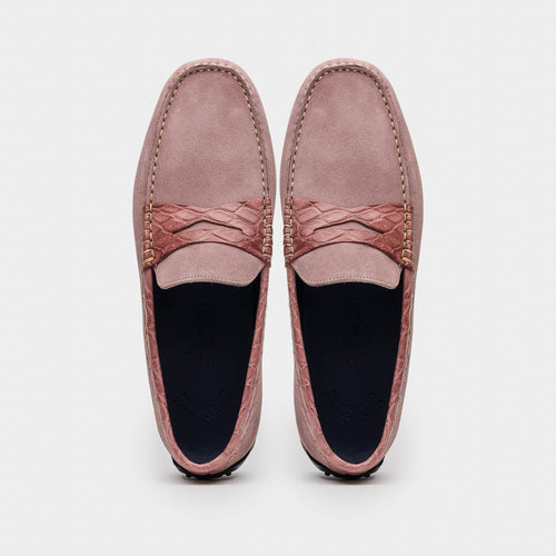 31-160-CDY MONZA Sueded Calfskin with Crocodile Driver Candy