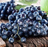 South Mountain Nursery Muscadine Grape Seeds - Non GMO - Vitis Rotundifolia E165