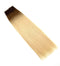 Ombre 3/8/613 Brown Ombre Bleach Blonde