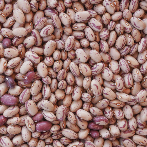 Hasata Barbunya 1Kg
