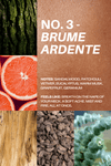 No. 3 - Brume Ardente Body Lotion