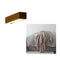 45 CM & Blanket