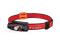 Magma