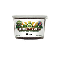 Olive Tree Grow Kit | Grow Mediterranean Olive from Seed | Seeds In A Cup®