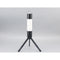 Without Lamp Shade