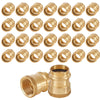 30 Pcs 1" Press x 1" Female Brass Adapter (Lead Free)