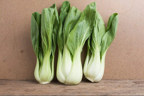 South Mountain Nursery Pak Choi - 500 Seeds - Bok Choy Asian Vegetable Seeds Chinese Cabbage