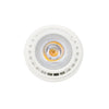 PAR36 G53 Warm White LED Light Bulbs
